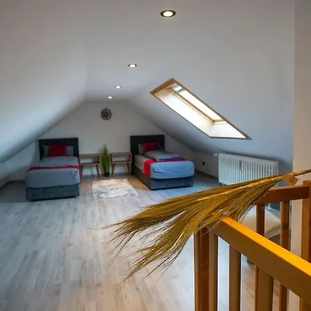 Serviceroom24 - Space In Wlan - Smart-tv - 24-7 Check-in Und Kueche